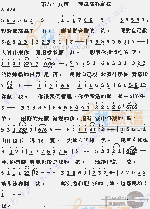 神这样眷顾我