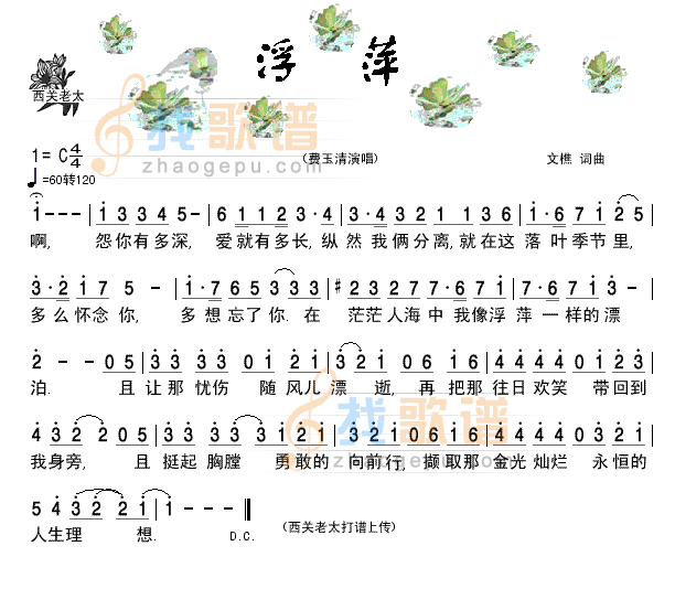 浮萍