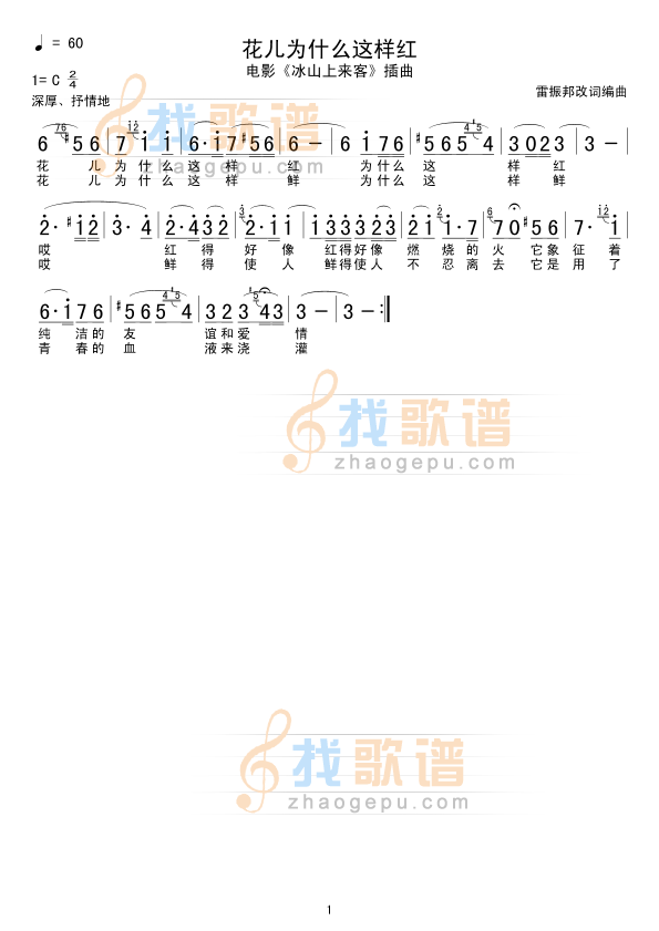 花儿为什么这样红