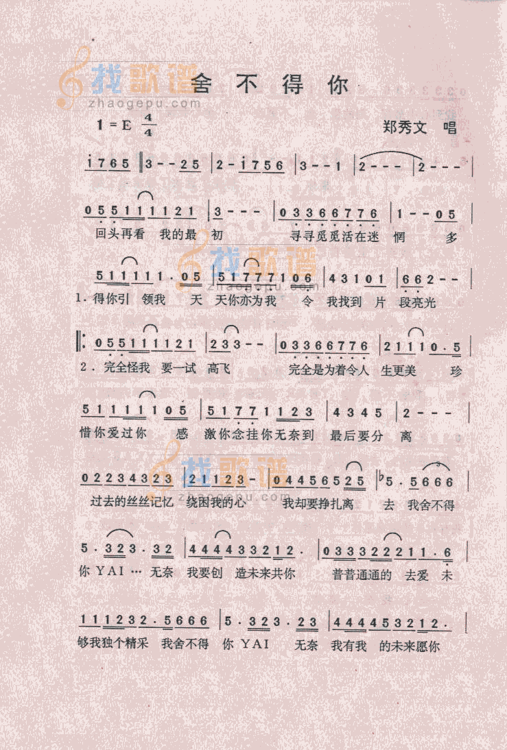 舍不得你