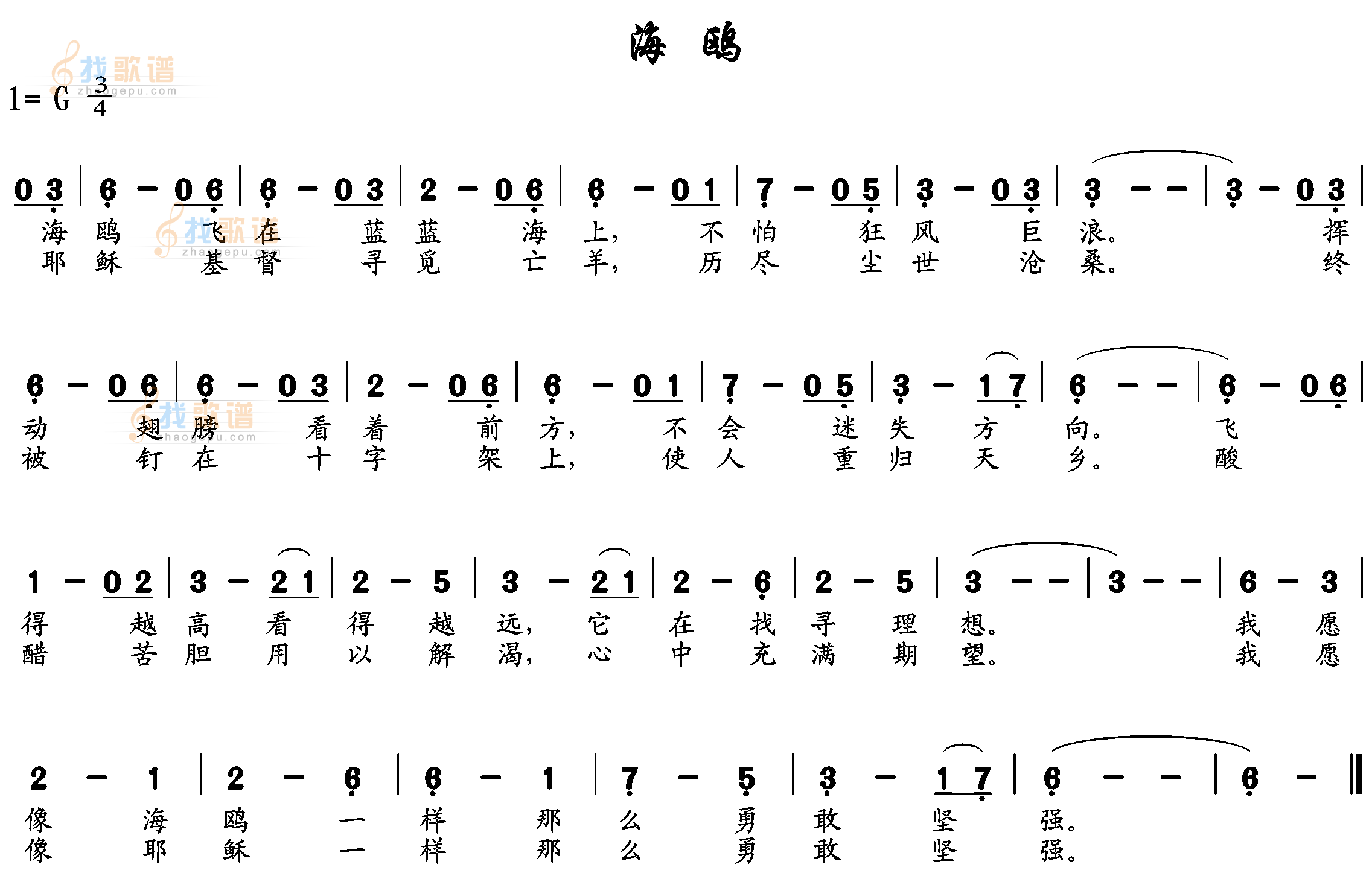 海鸥