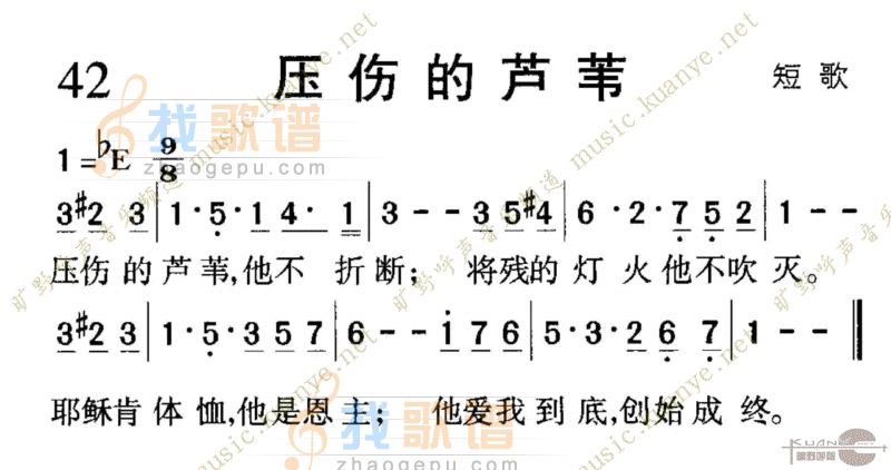 1042压伤的芦苇