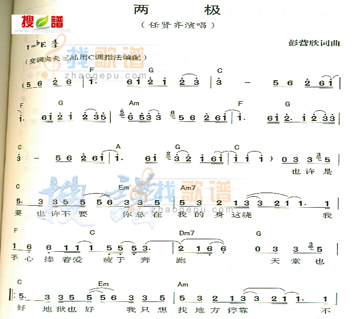 两极