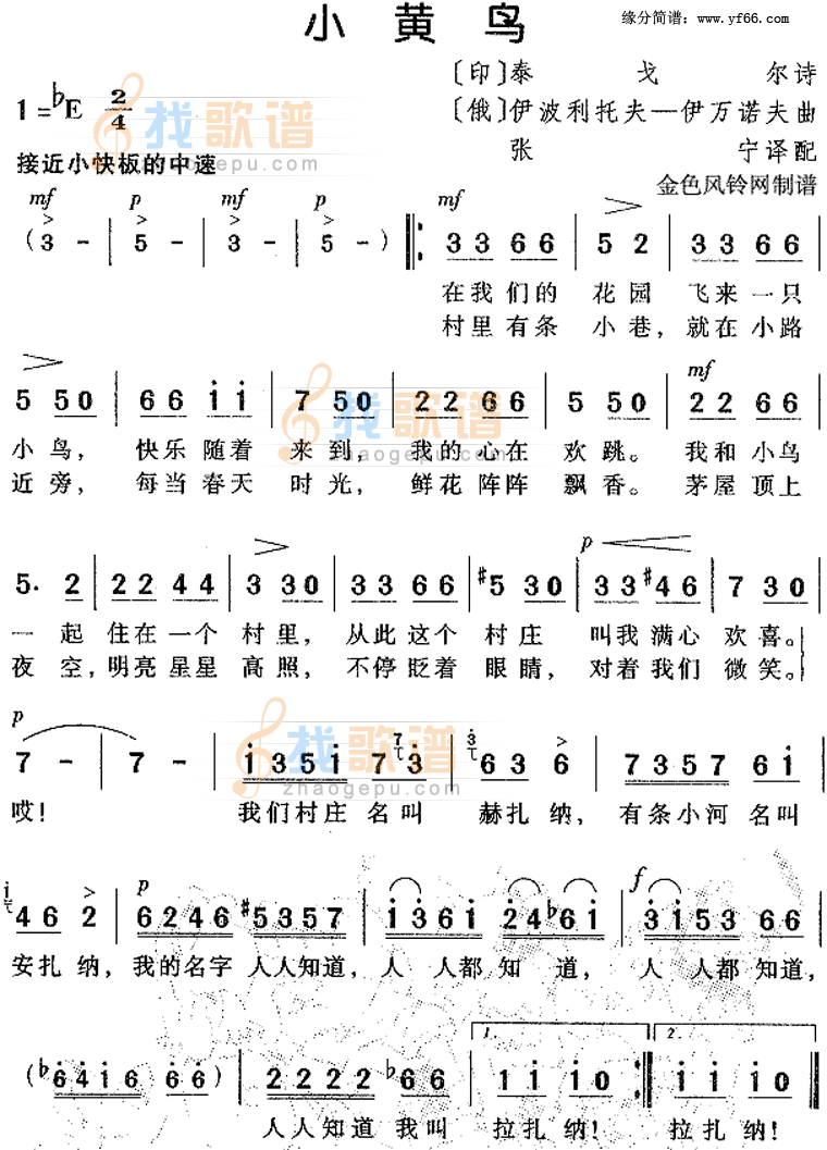 小黄鸟