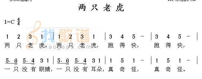 两只老虎