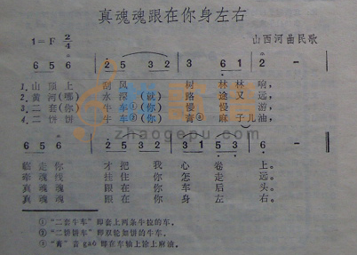 真魂魂跟在你身左右
