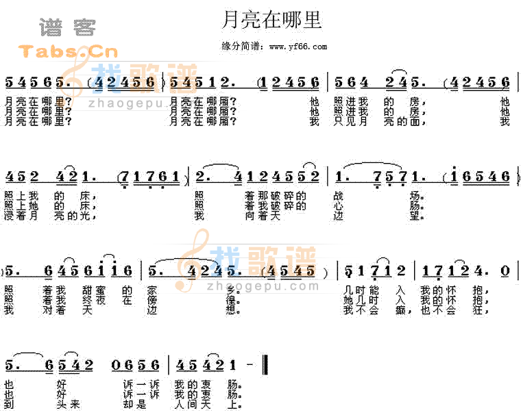 月光在哪里