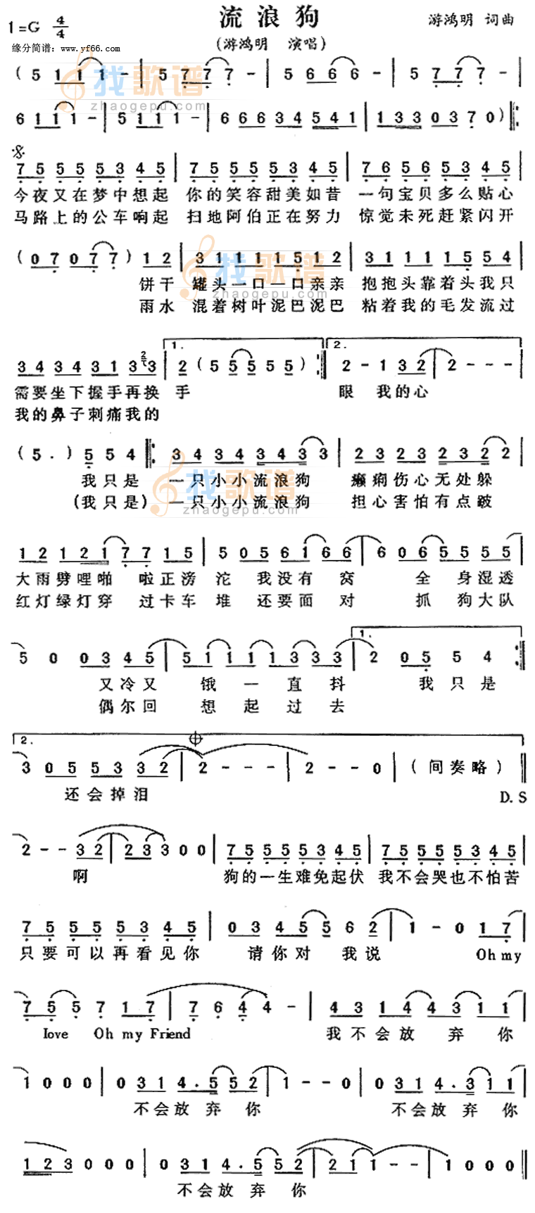 流浪狗