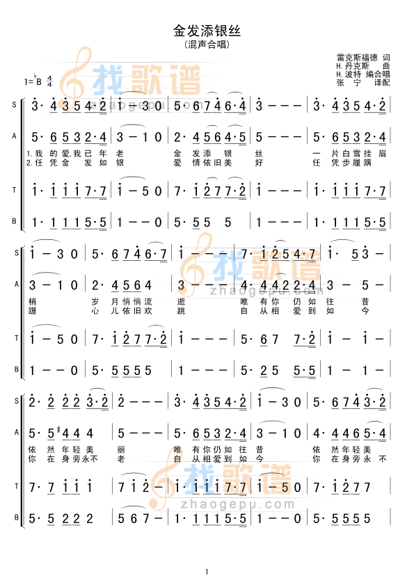金发添银丝