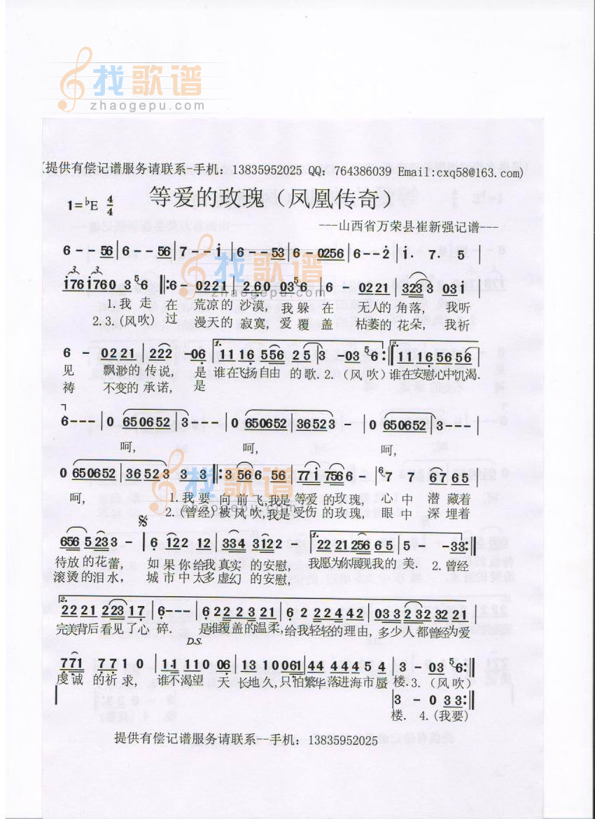 等爱的玫瑰