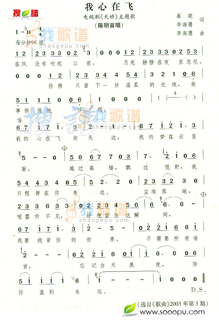 我心在飞