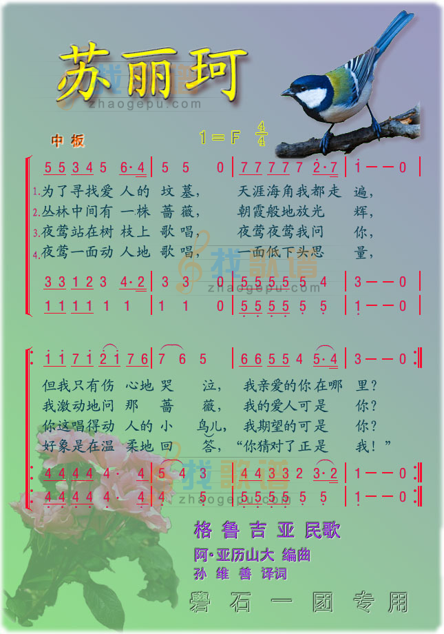 苏丽珂