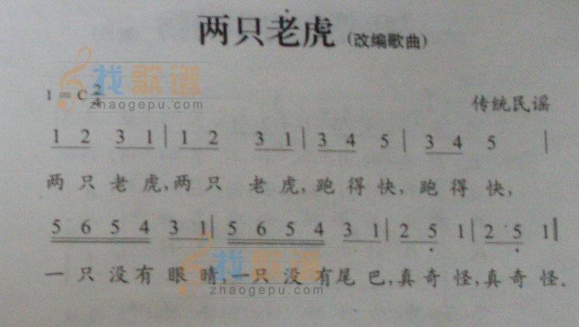 两只老虎