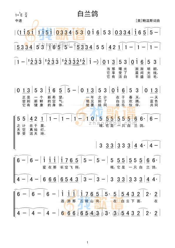 白兰鸽