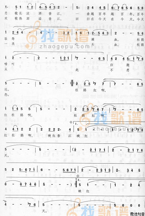 红杜鹃
