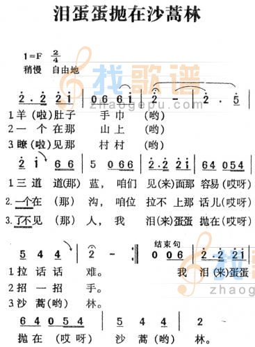泪蛋蛋抛在沙蒿林
