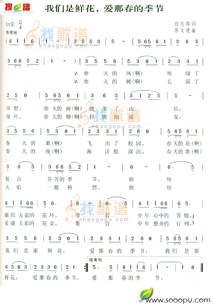 我们是鲜花