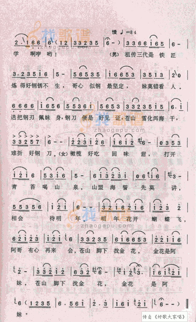 蝴蝶泉边
