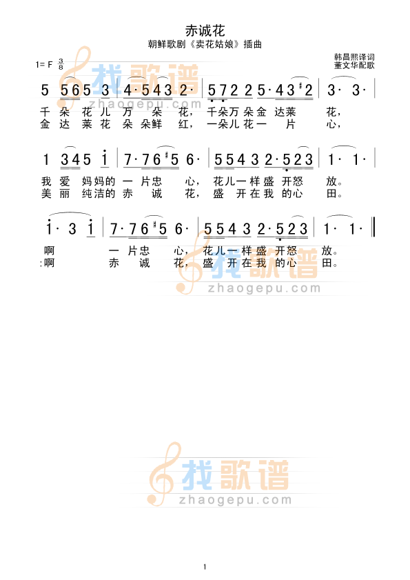 赤诚花