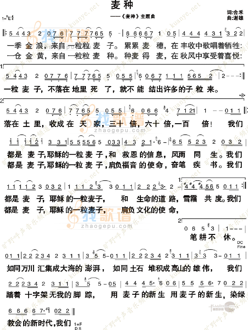 麦种