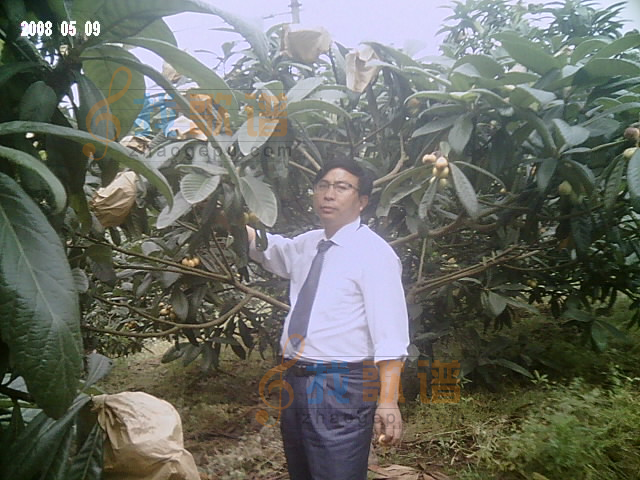 我的照片