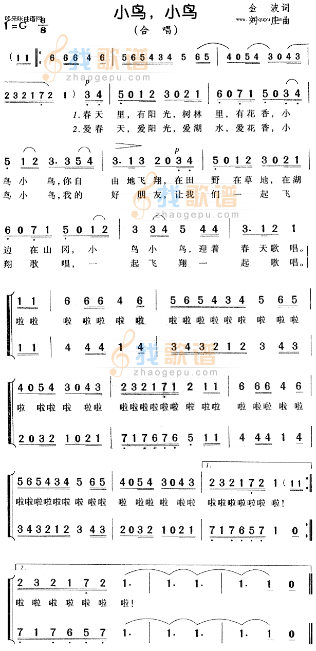 小鸟小鸟