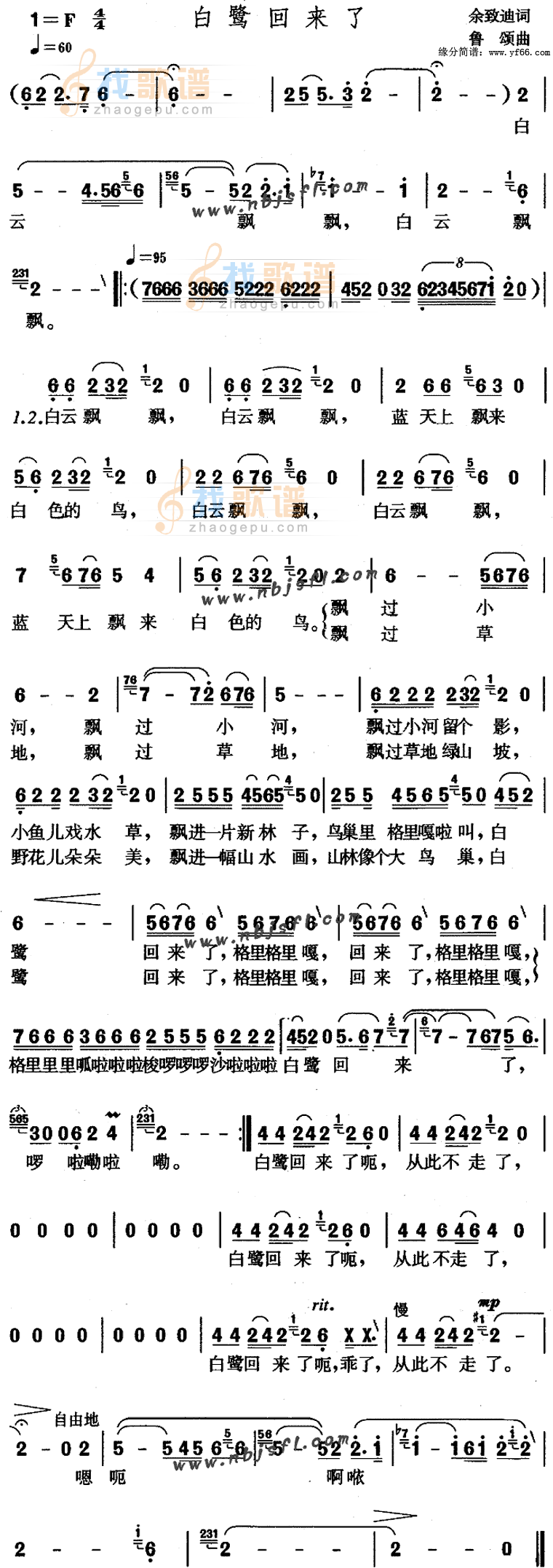 白鹭回来了