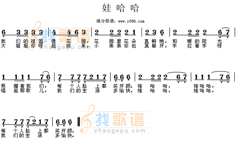 娃哈哈