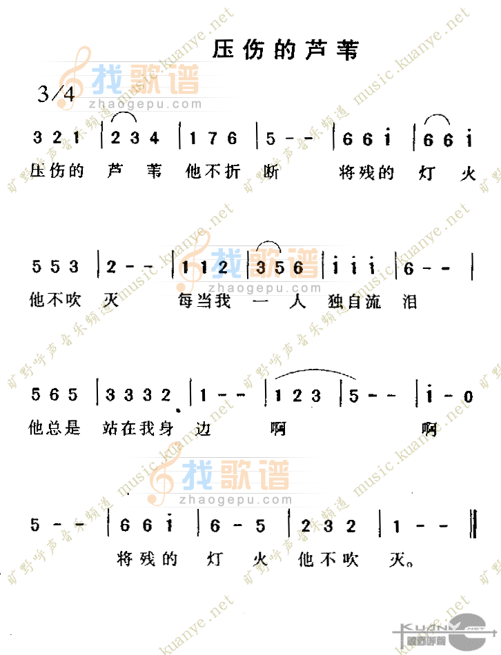 压伤的芦苇