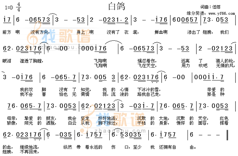 白鸽