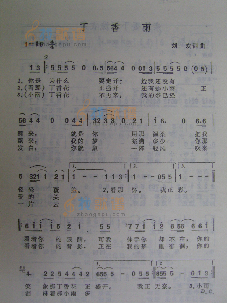 丁香雨
