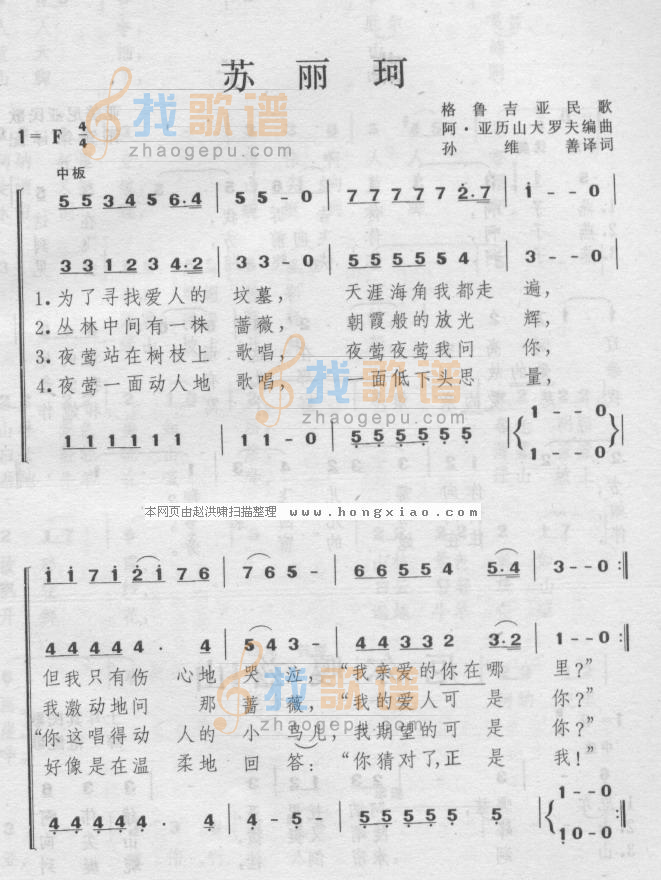 苏丽柯