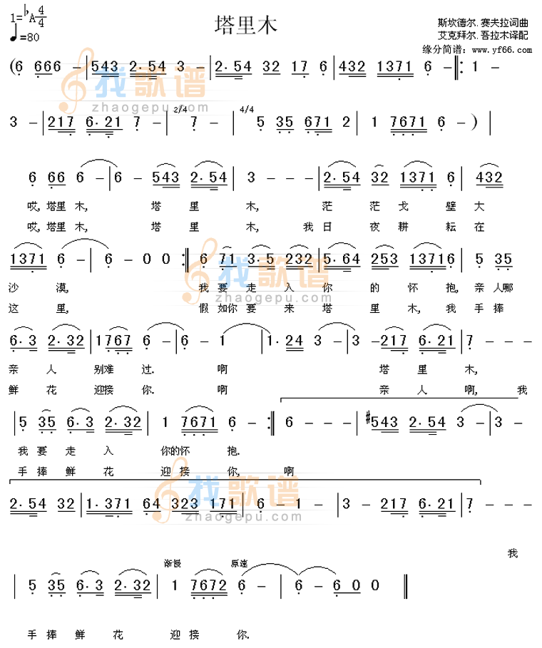 塔里木