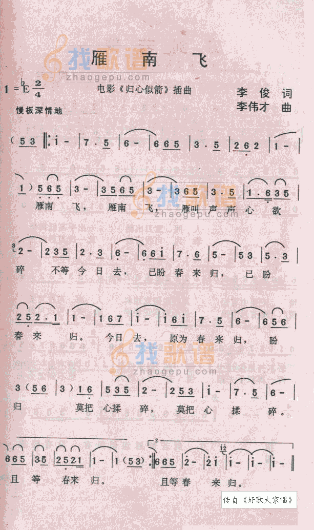 雁南飞