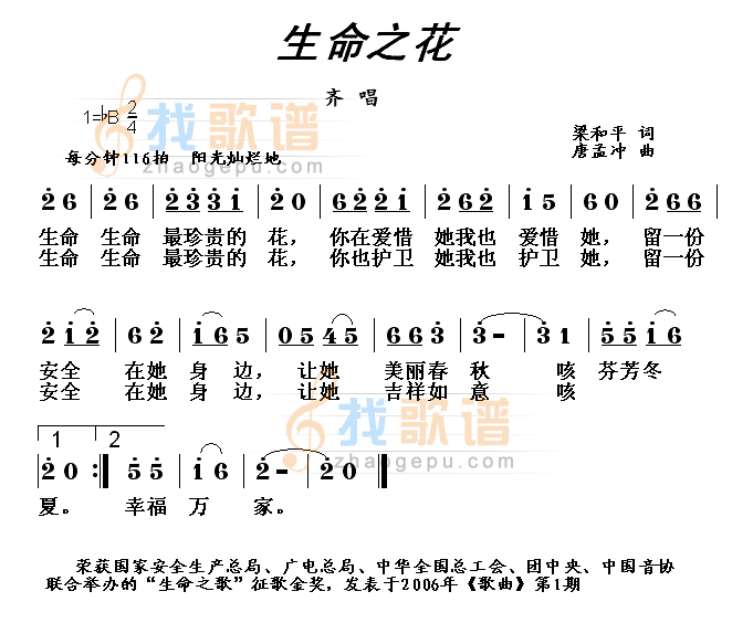 生命之花