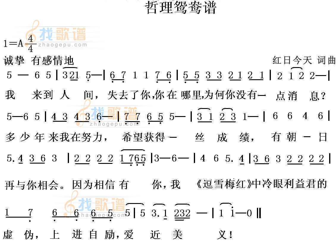 哲理鸳鸯谱