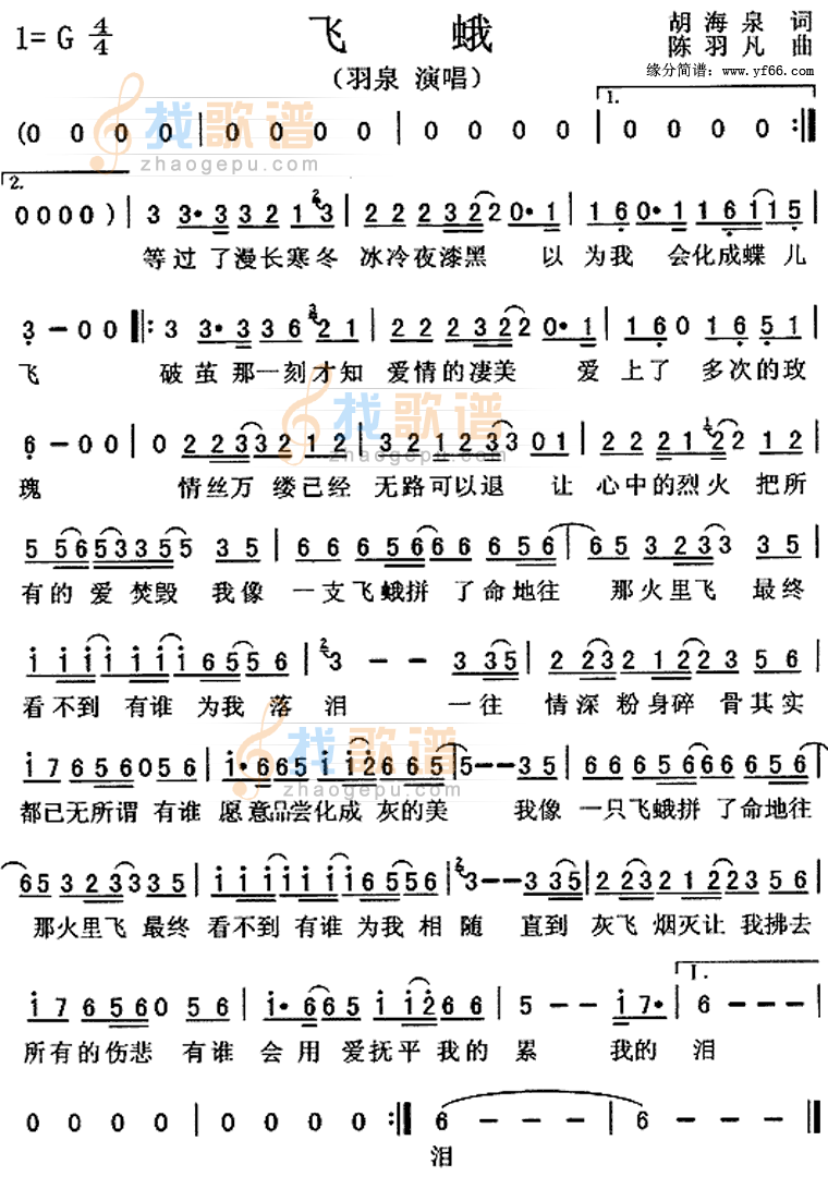 飞蛾