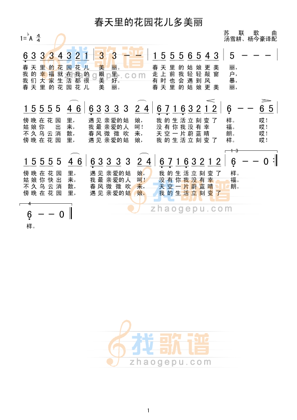 春天里的花园花儿多美丽