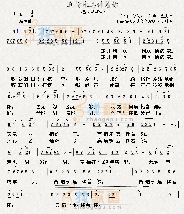 真情永远伴着你