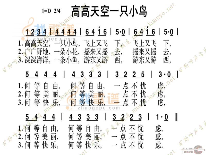 高高天空一只小鸟