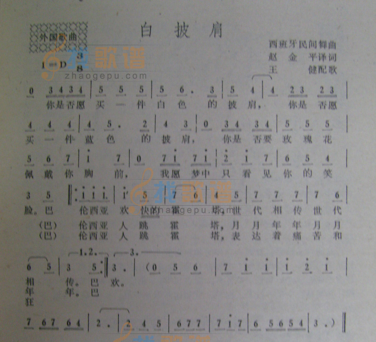 白披肩