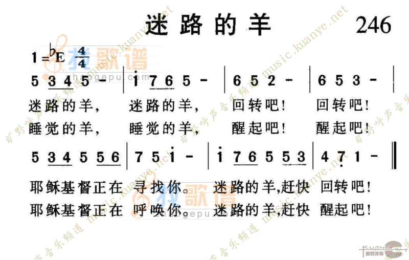 246迷路的羊