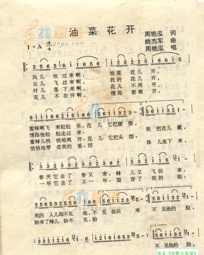 油菜花开