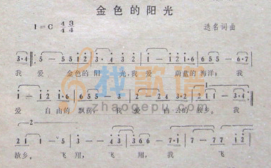 金色的阳光