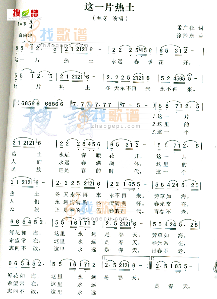 这一片热土
