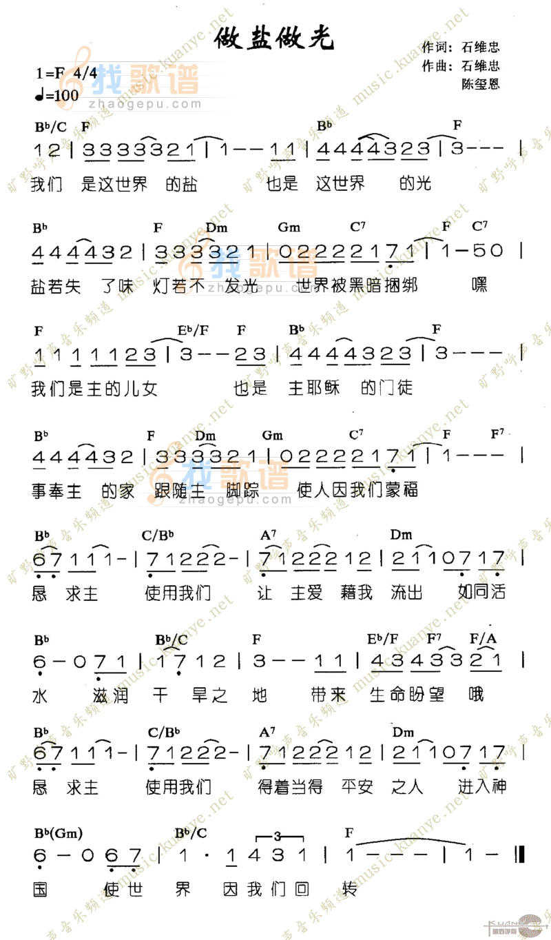作盐作光