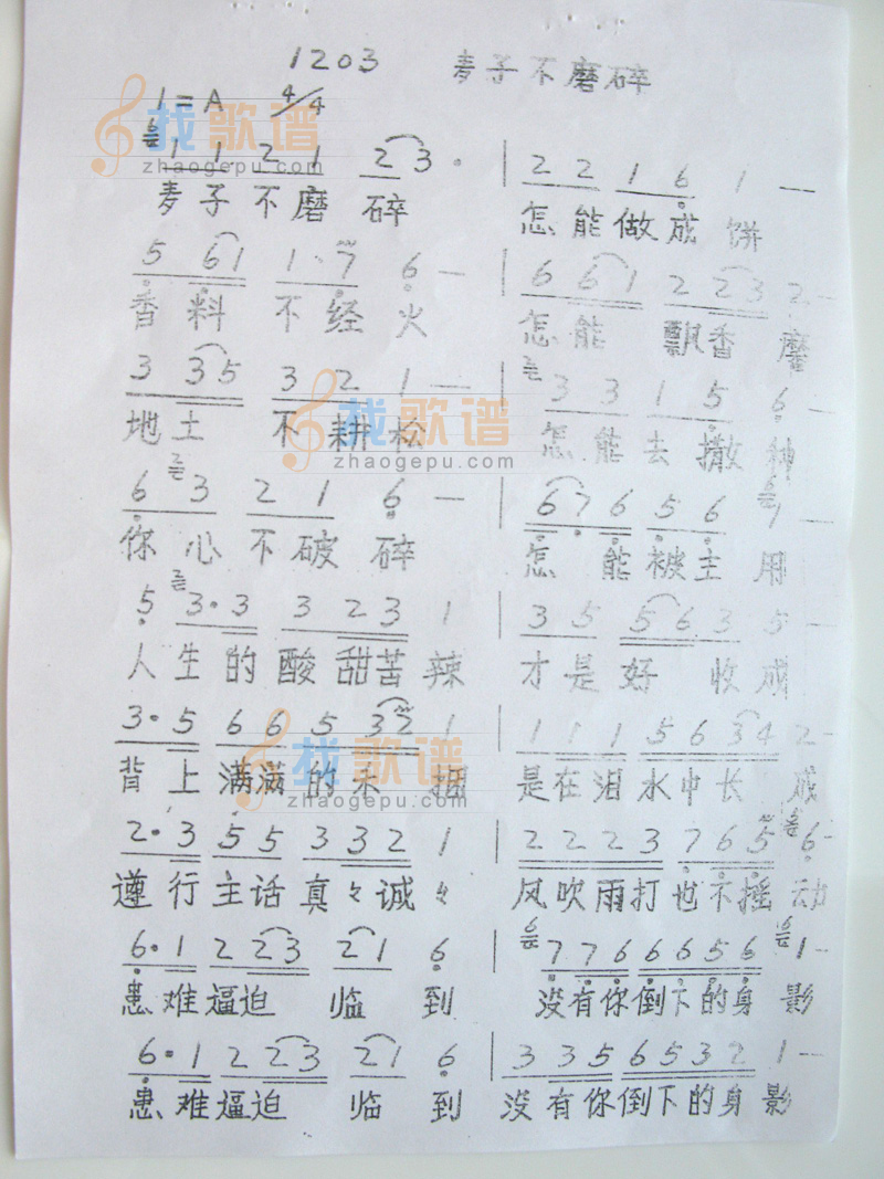 麦子不磨碎