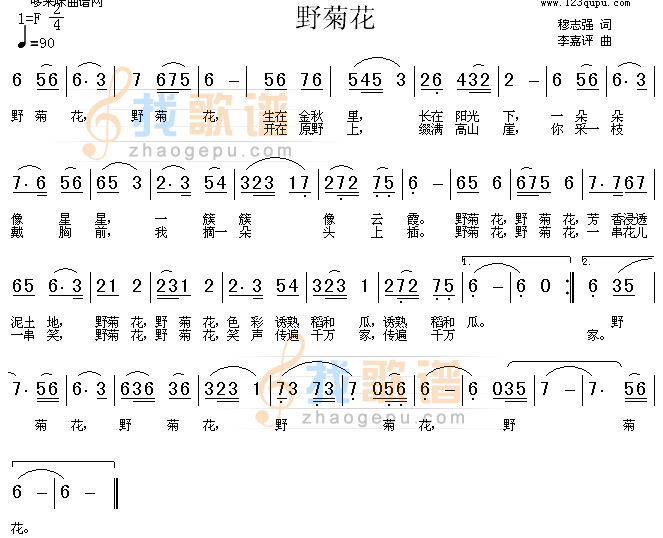 野菊花