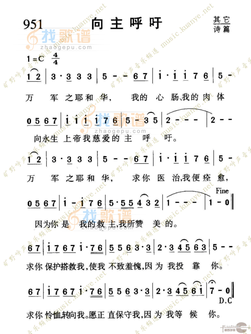 951向主呼吁