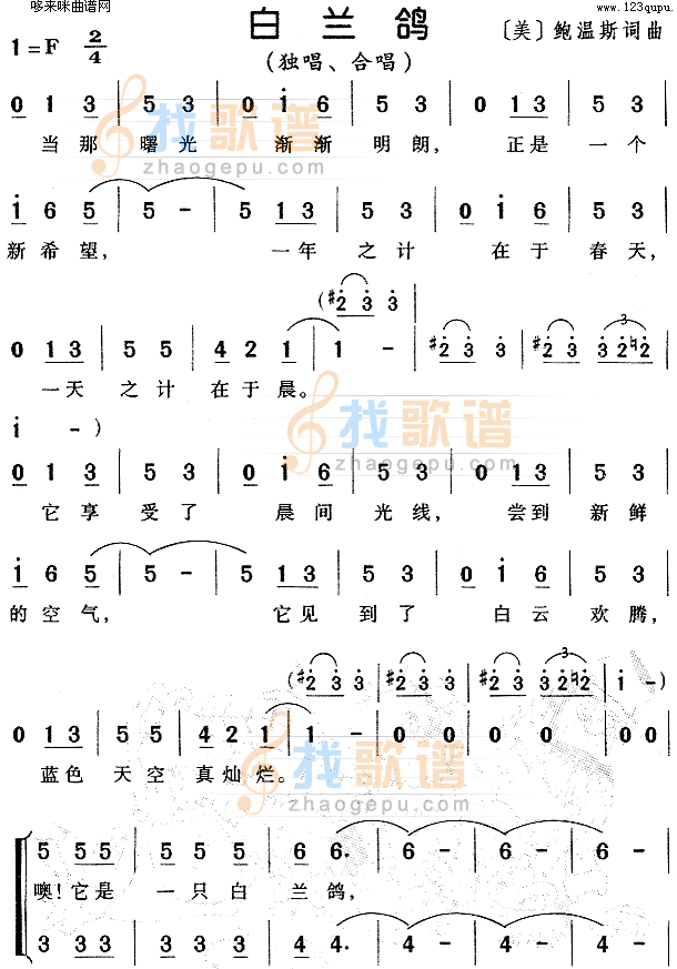 白兰鸽